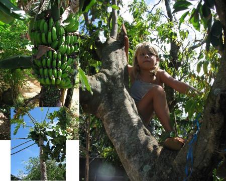 LA FAUNE ET LA FLORE