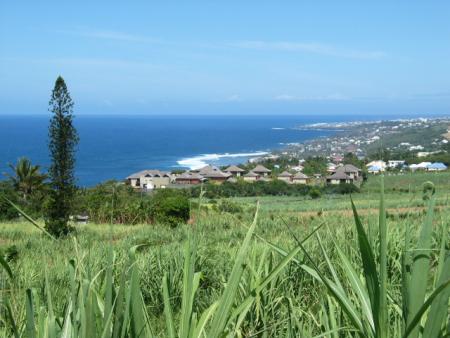 AUJOURD'HUI DIMANCHE 23 NOVEMBRE